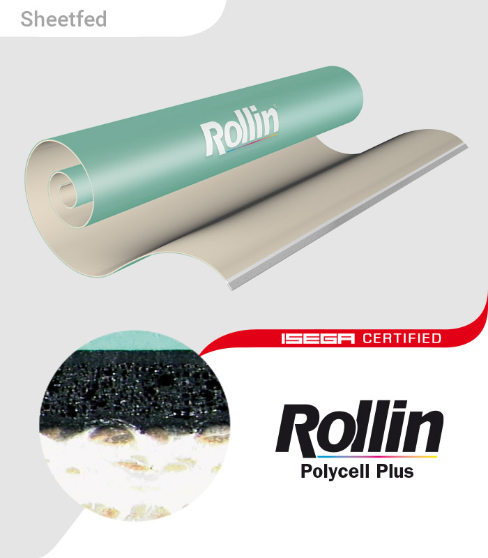Rollin Polycell Plus